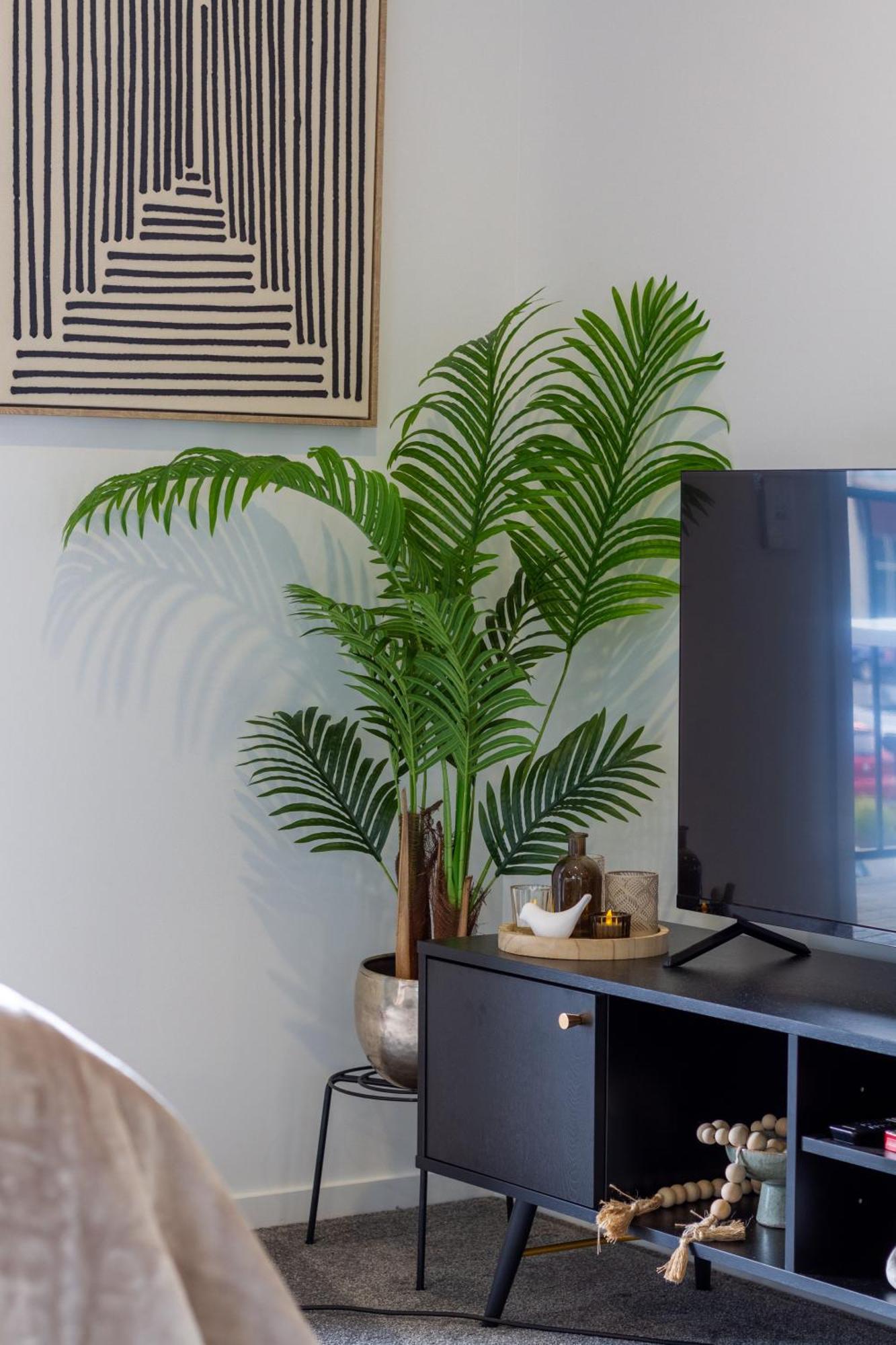 Luxurious Studio Prime Location City Centre Christchurch Exteriör bild